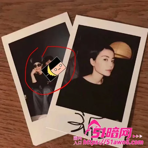 闺蜜17 王菲男闺蜜 Ryan 音乐节当众对 陈 闺蜜17