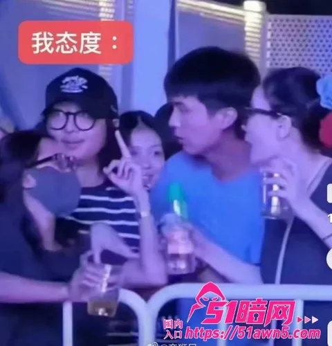 闺蜜7 王菲男闺蜜 Ryan 音乐节当众对 陈 闺蜜7