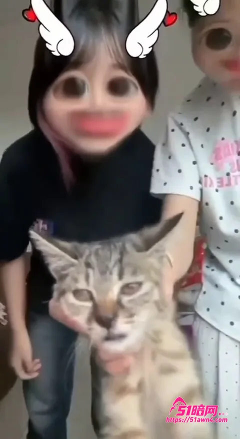 快手主播 牙不齐 带小姐妹虐待动物 事